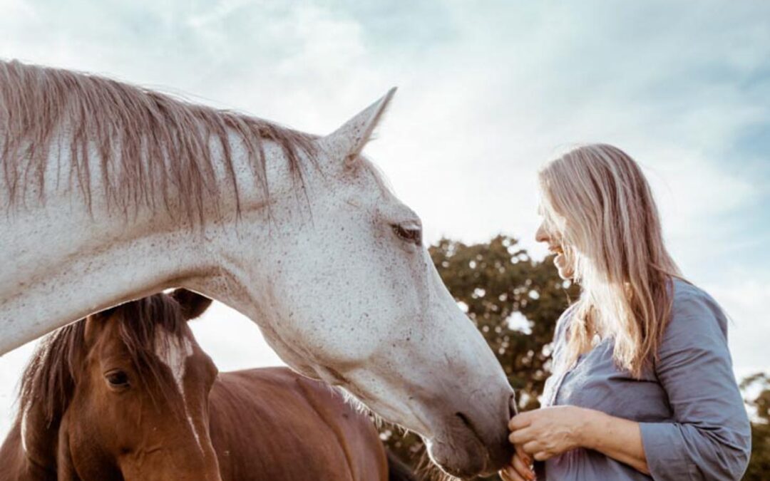Neue Perspektiven dank Coaching mit Pferden – Warum du Antworten auf viele deiner Fragen findest